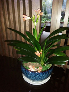 ���ͼƬ�鿴����