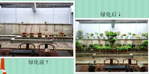 ���ͼƬ�鿴����