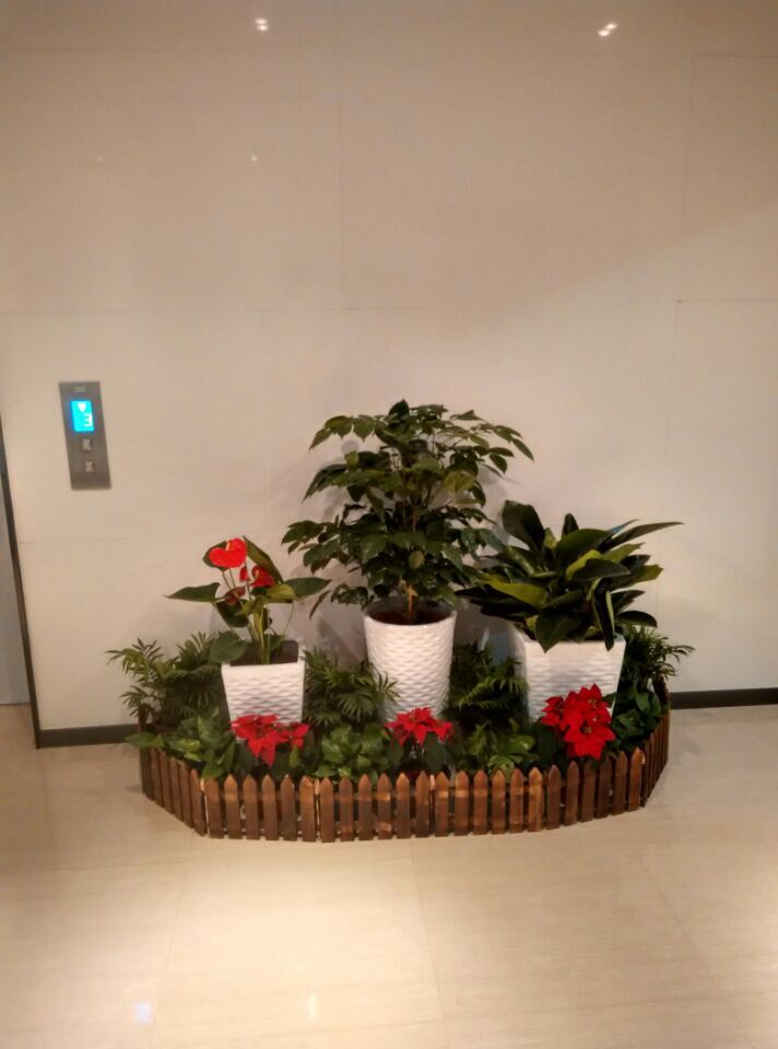 ���ͼƬ�鿴����