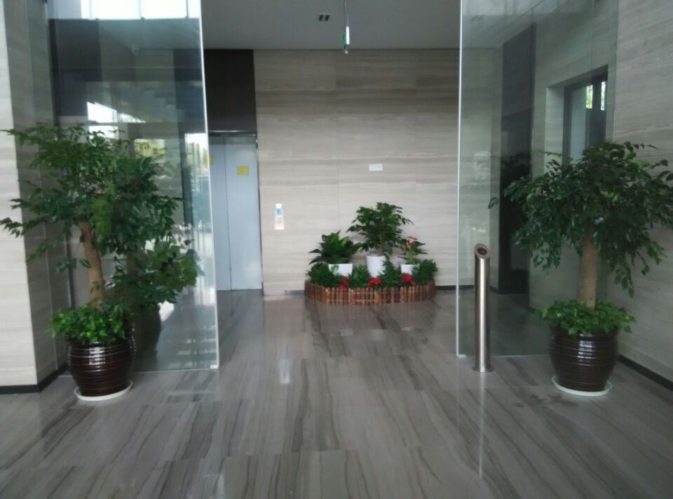 ���ͼƬ�鿴����