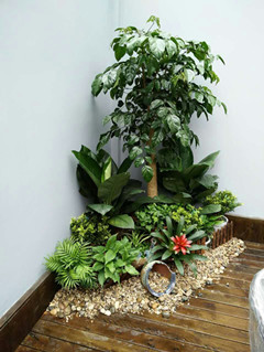 ���ͼƬ�鿴����