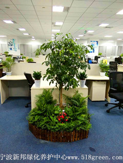 ���ͼƬ�鿴����