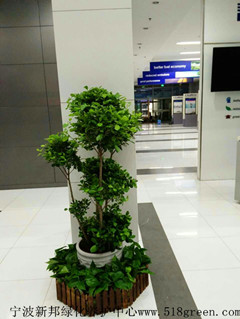 ���ͼƬ�鿴����