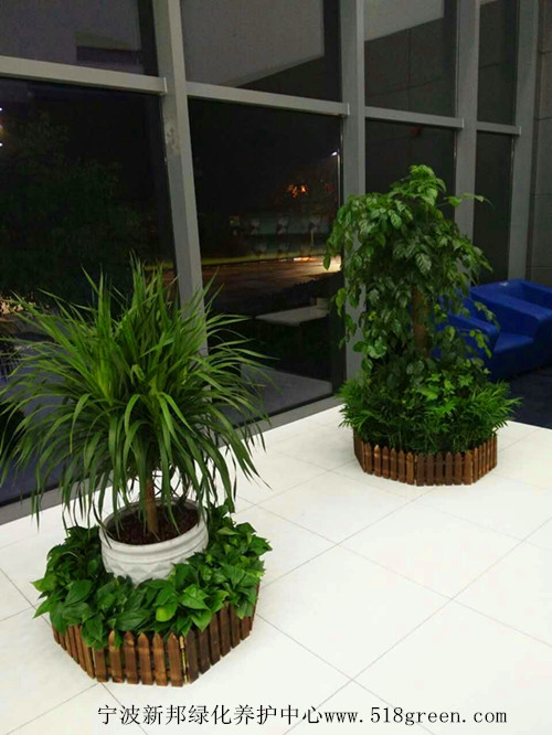 ���ͼƬ�鿴����