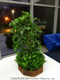 ���ͼƬ�鿴����