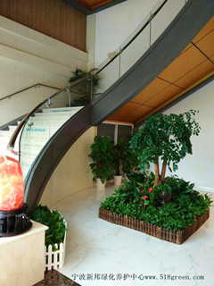 ���ͼƬ�鿴����