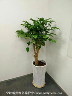 ���ͼƬ�鿴����