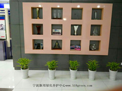 ���ͼƬ�鿴����