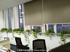 ���ͼƬ�鿴����