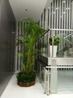 ���ͼƬ�鿴����