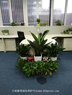 ���ͼƬ�鿴����