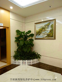 ���ͼƬ�鿴����